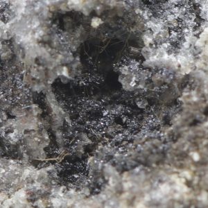 Cechite