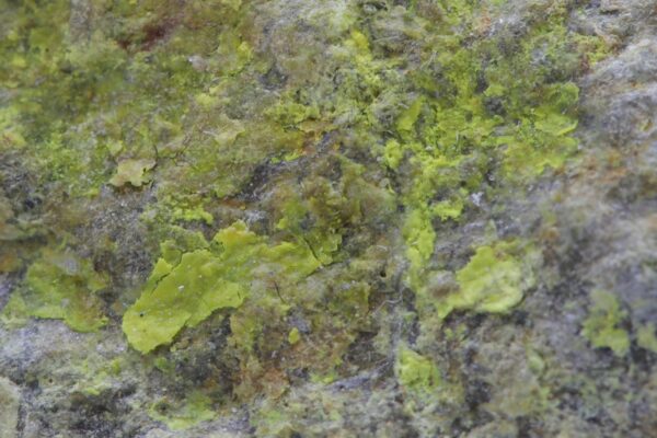 Rutherfordit – Bild 7