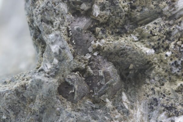 Danburit, andradit – Bild 8