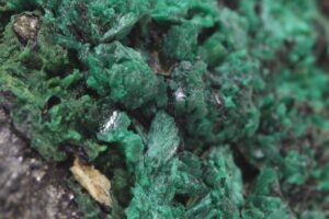 Euchroit