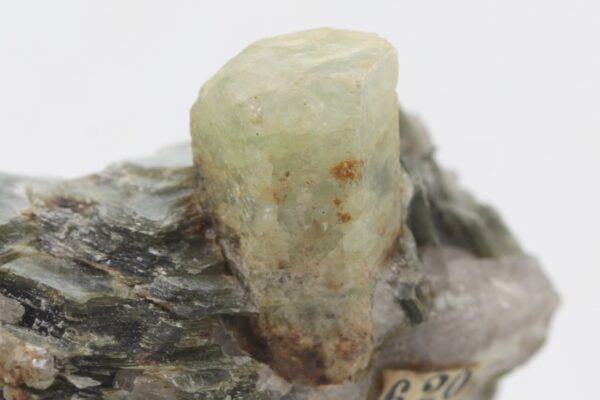 Beryl