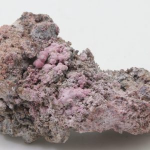 Koritnigit