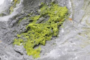 Auripigment