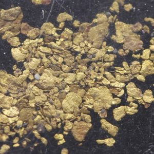 Gold