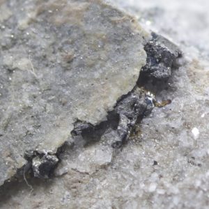 Sylvanite