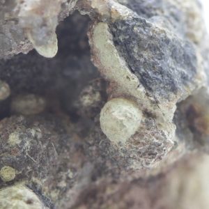 Eulytine, beyerite