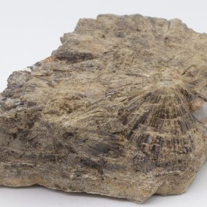 Vesuvian