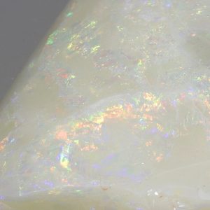 Edelopal