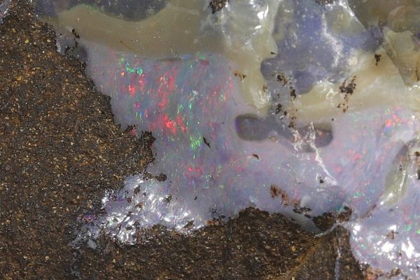 Edelopal