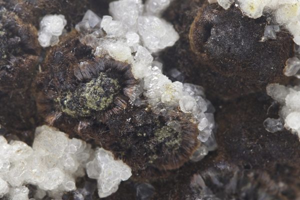 Goethite, calcite - Image 7