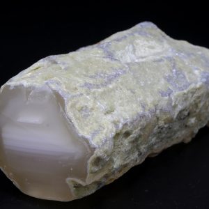 Agatized wood