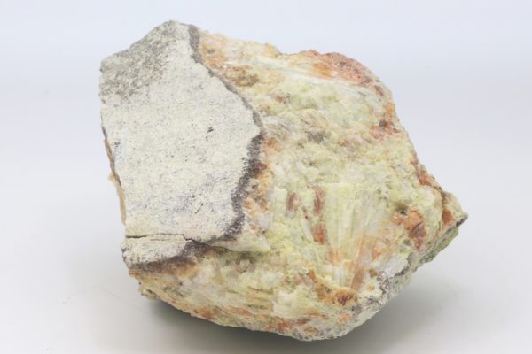 Beryl - Image 5