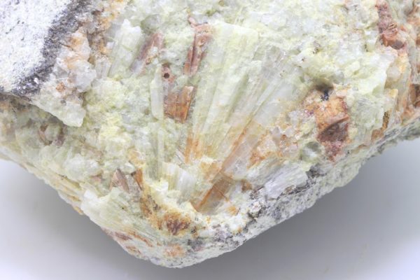 Beryl - Image 6