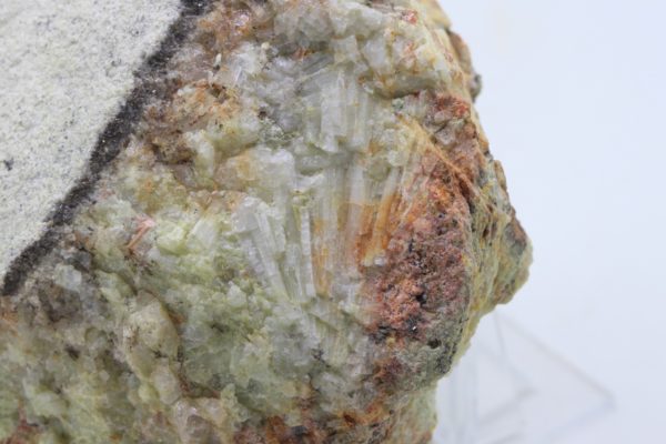 Beryl - Image 7