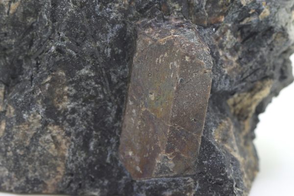 Lorenzenit - Image 7