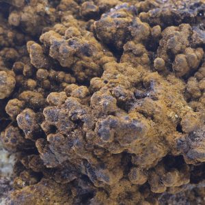 Goethite