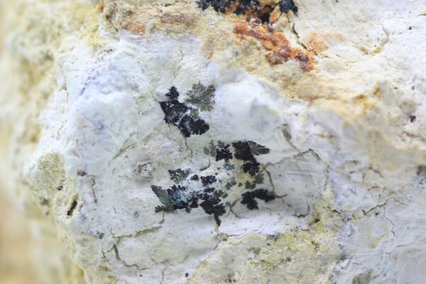 Parasymplesit – Bild 4