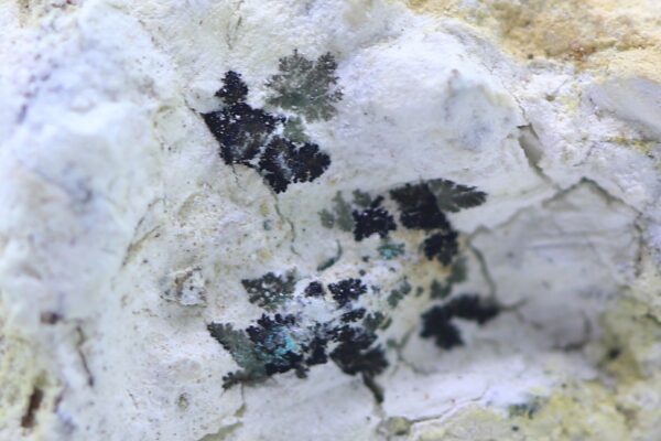 Parasymplesit – Bild 6
