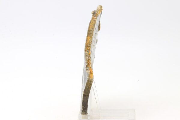 Flogopit - Image 3