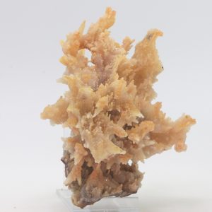 Chalcedon