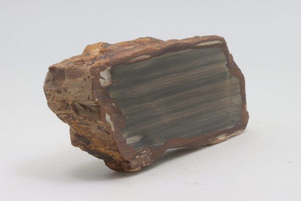 Limnoquarzit – Bild 4