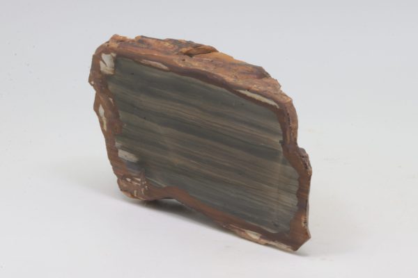 Limnoquarzit – Bild 5