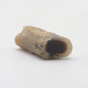 Opal