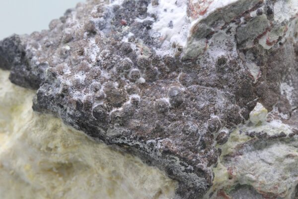 Arsen - Image 5