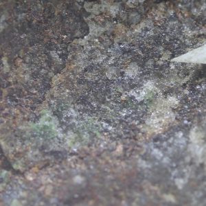 Goldmanite