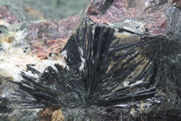 Eudyalit, Egirin - Image 6