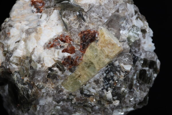Beryl – Bild 6