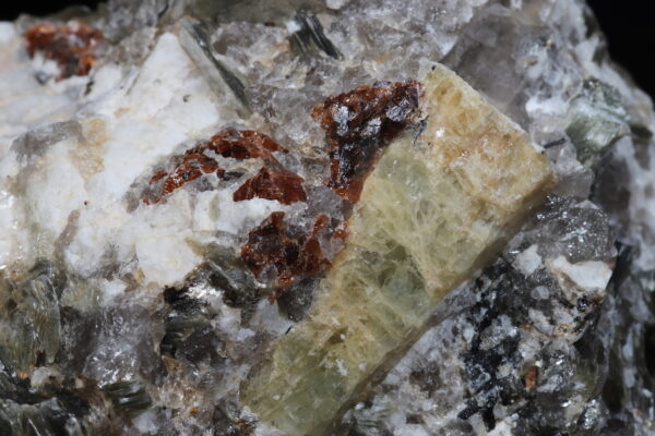 Beryl – Bild 7