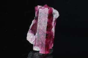 Bixbit