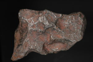 Meteorit