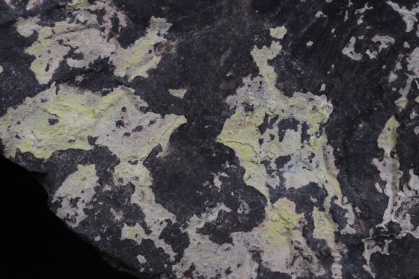 Uranospinit - Image 3