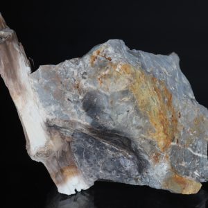 Opalisiertes Holz