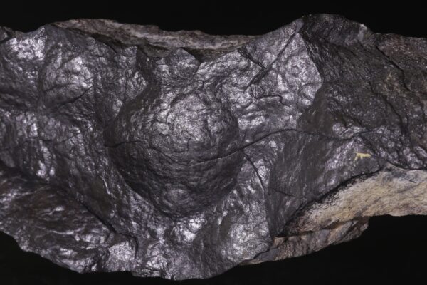 Arsen - Image 5