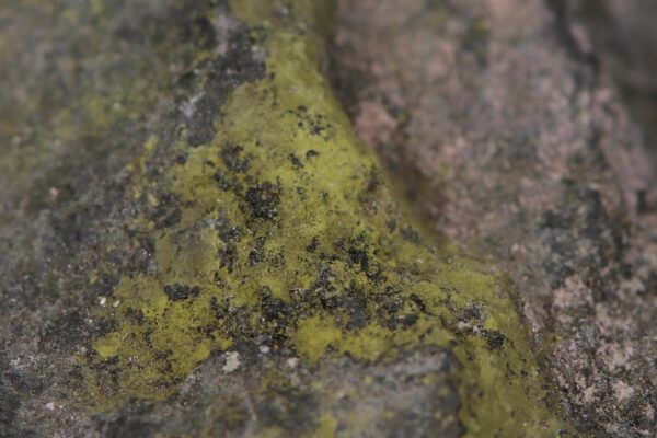 Bismutoferrit – Bild 6