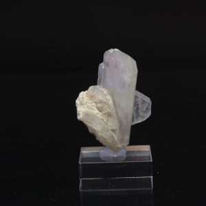 Celestýn