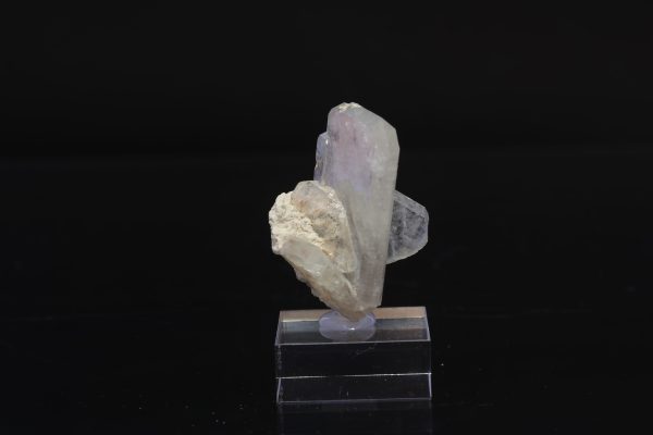 Celestýn