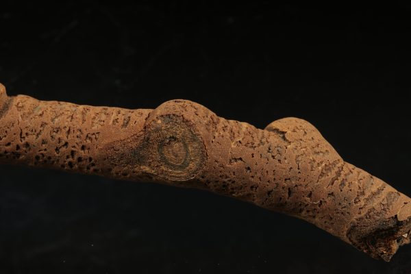 Aragonite - Image 3