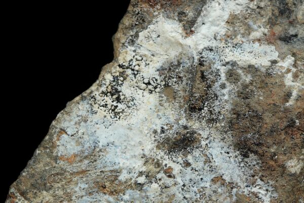 Znucalit – Bild 5