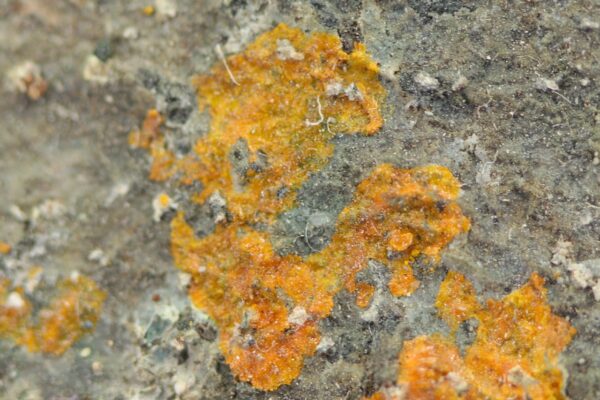 Pascoit – Bild 7