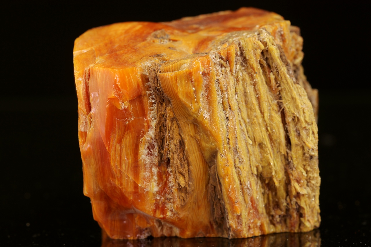 Dřevitý opál - Obrázek 8