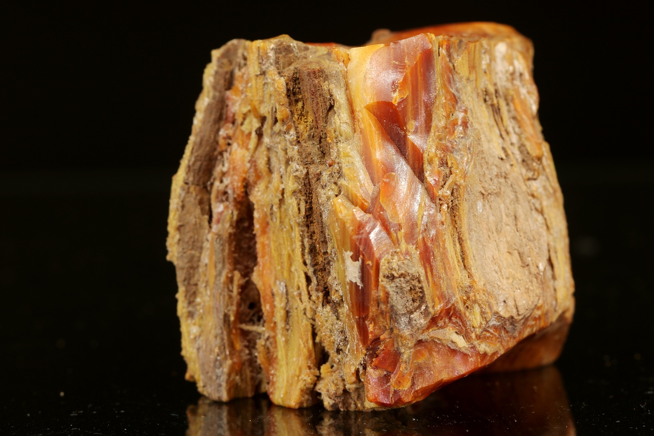 Dřevitý opál - Obrázek 11