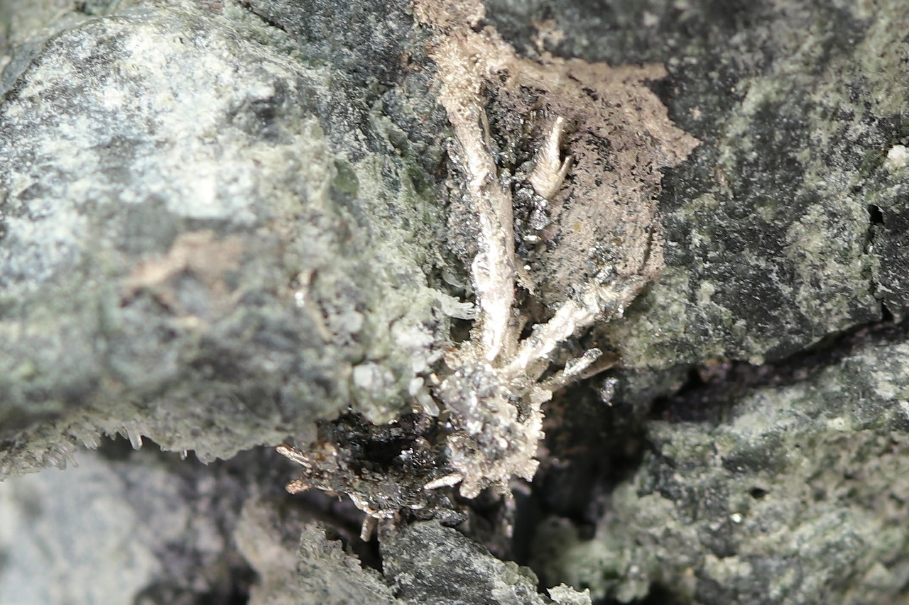 Stříbro; löllingit - Obrázek 7