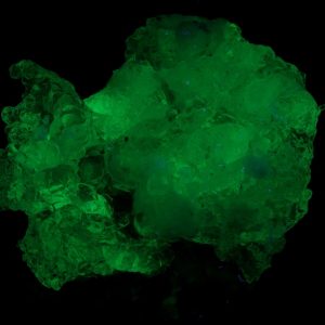 Hyolith