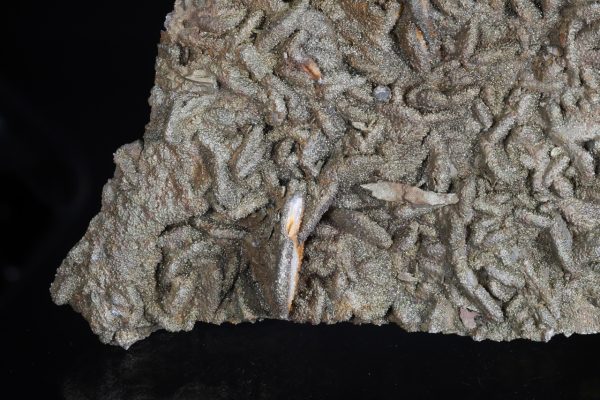 Baryt, Pyrit – Bild 6