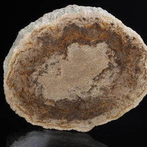 I searched the provided documents for the term "Zkamenělé dřevo," but it seems there are no matches in the text. Therefore, I cannot provide a translation from the file content. However, the term "Zkamenělé dřevo" in Czech translates to "Petrified wood" in English.