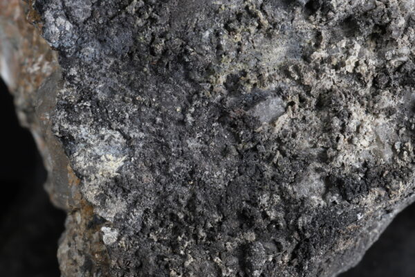 Selen - Image 3